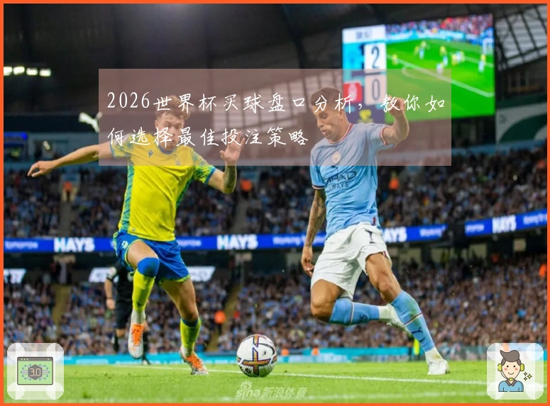 2026世界杯买球盘口分析，教你如何选择最佳投注策略