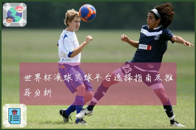 世界杯滚球买球平台选择指南及推荐分析