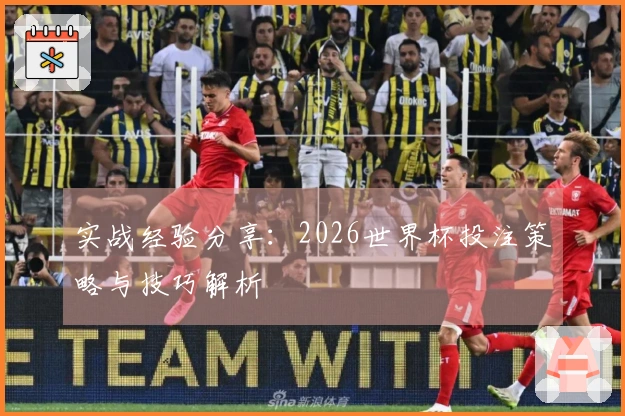 实战经验分享：2026世界杯投注策略与技巧解析