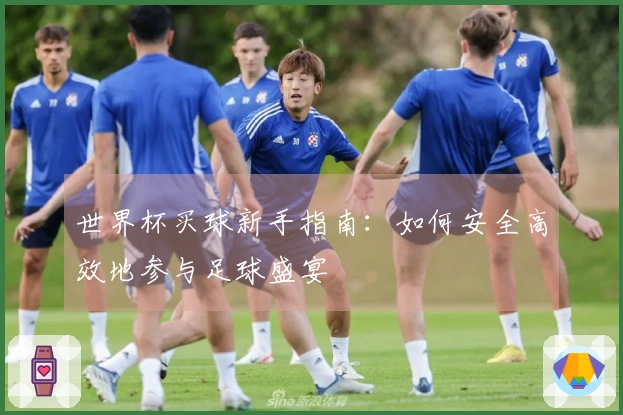 世界杯买球新手指南：如何安全高效地参与足球盛宴